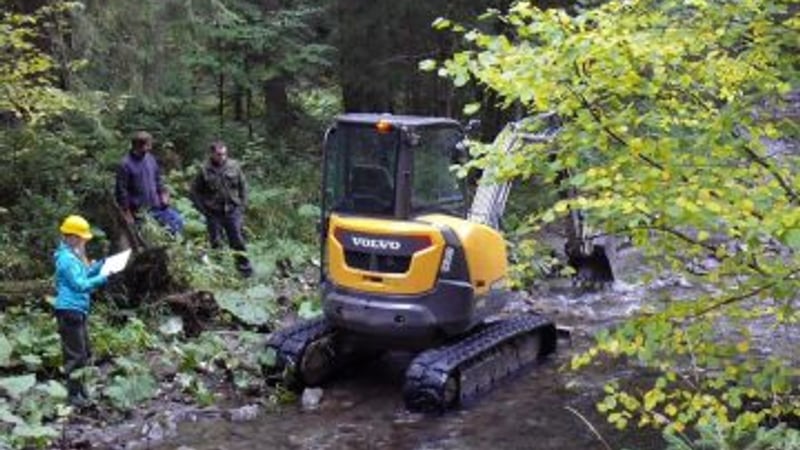 Biological Supervision and Transfers