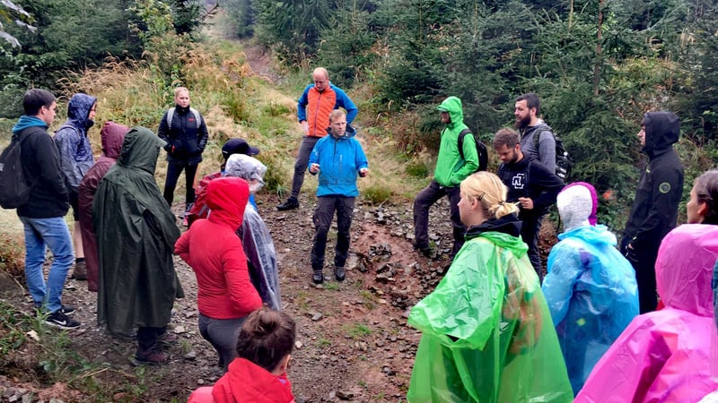 Education and Consulting