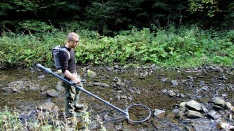 Mapování a monitoring druhů