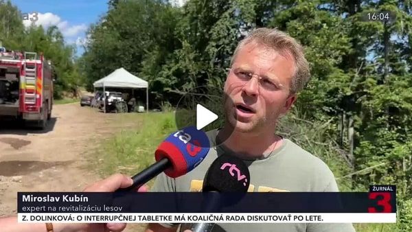 Ako vyliečiť rany lesa