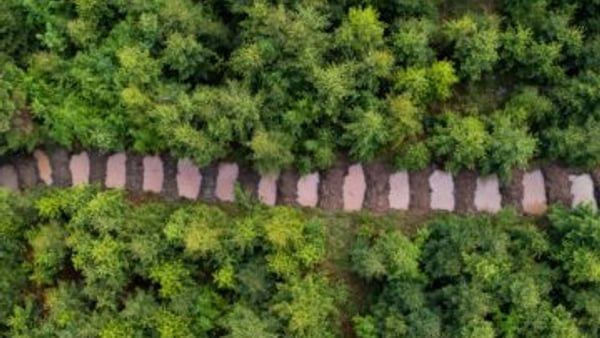 Příprava projektu OPŽP - Vodozádržná opatření v lesích v k.ú. Slavkov pod Hostýnem - Obrázek 3