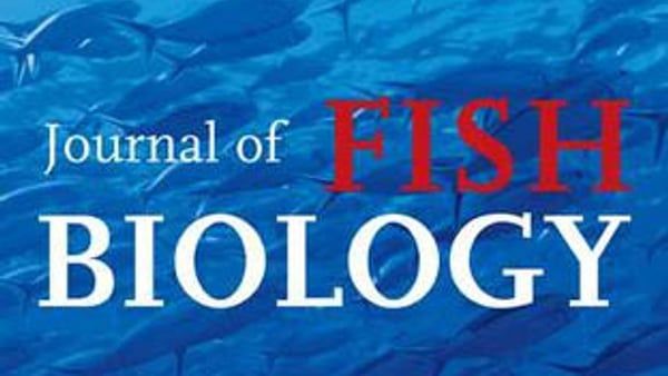 Ichtyologické poradenství - Obrázek 3