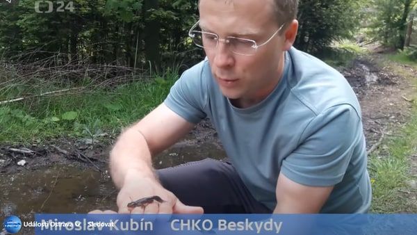 Ochranáři i lesníci vracejí vodu do krajiny a do lesů